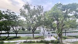Blk 174 Kebun Baru Link 1 (Ang Mo Kio), HDB 3 Rooms #545335161